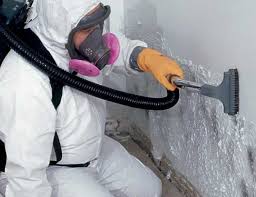 Best Environmental Consulting for Mold Prevention  in Tifton, GA